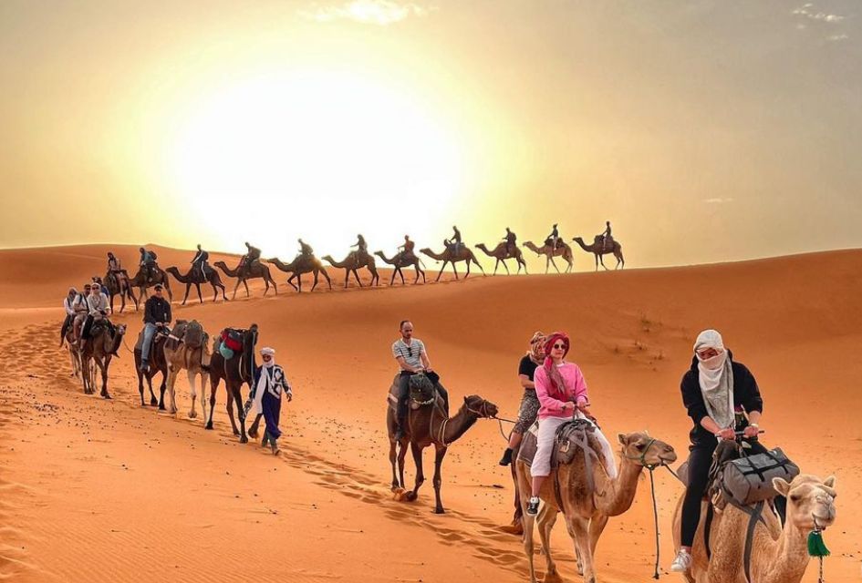 Camel rides at sunset across the golden sandy dunes of the Sahara Desert, one of the best thing to do in Morocco!