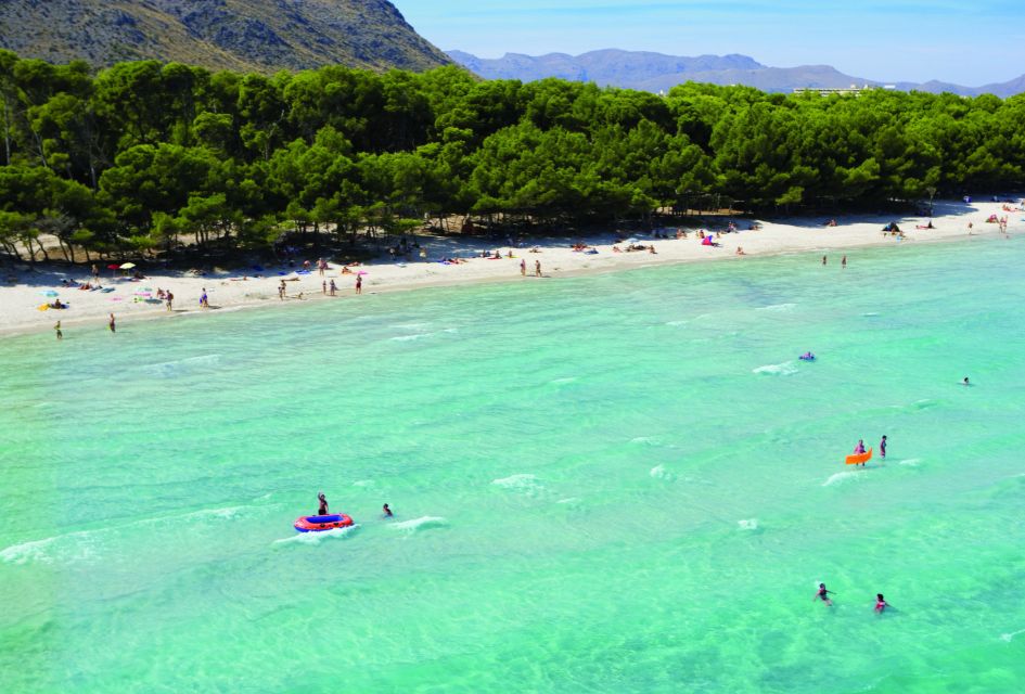 Foreground view of Playa de Muro in Mallorca with a pine forest in the background. 