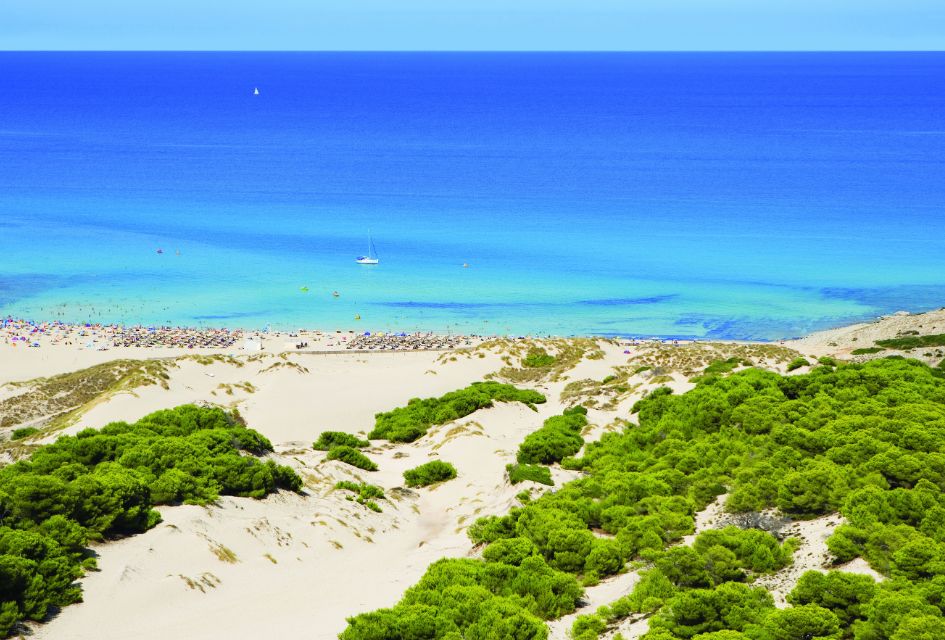 Drone view over the shores and blue waters of Cala Mesquida, one of the best beaches in Mallorca.