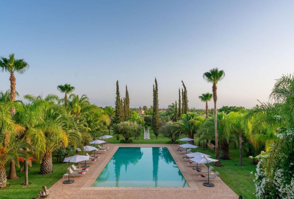 The stunning luxury swimming pool of Palais Hassoun in Marrakech, one of the top luxury villas in Morocco. Surrounded by loungers and the leafy estate, with tropical trees all around.